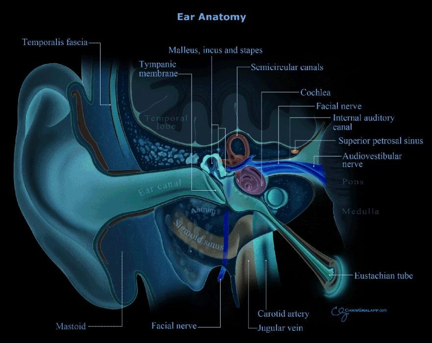 Eustachian Tube Problems