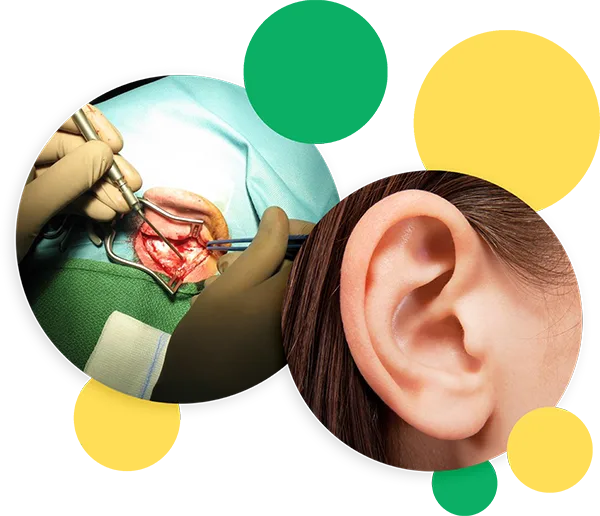 ear services banner
