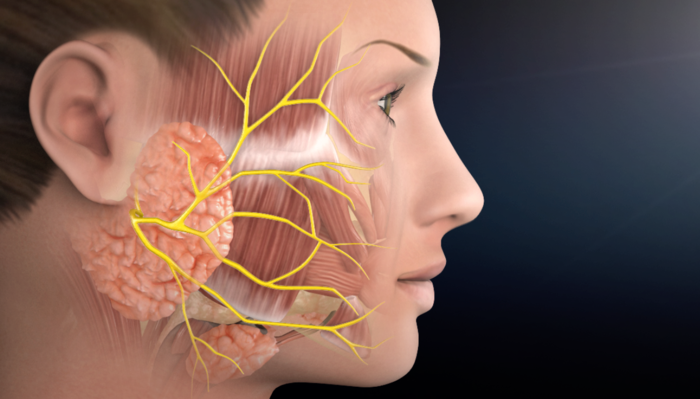 Mammary Analog Secretory Carcinoma of Salivary Glands