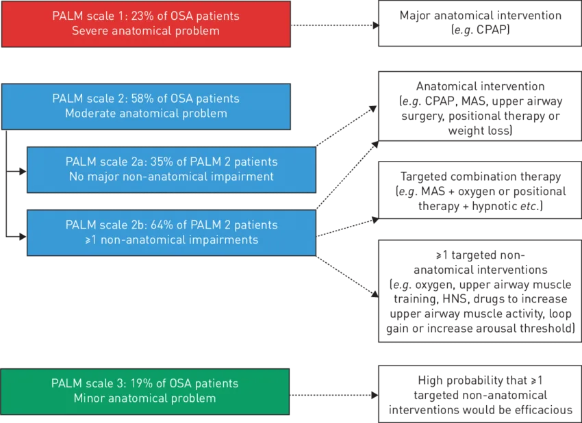 PALM-Pcrit Scale OSA